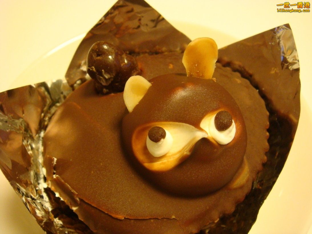 Winter limited 1.jpg