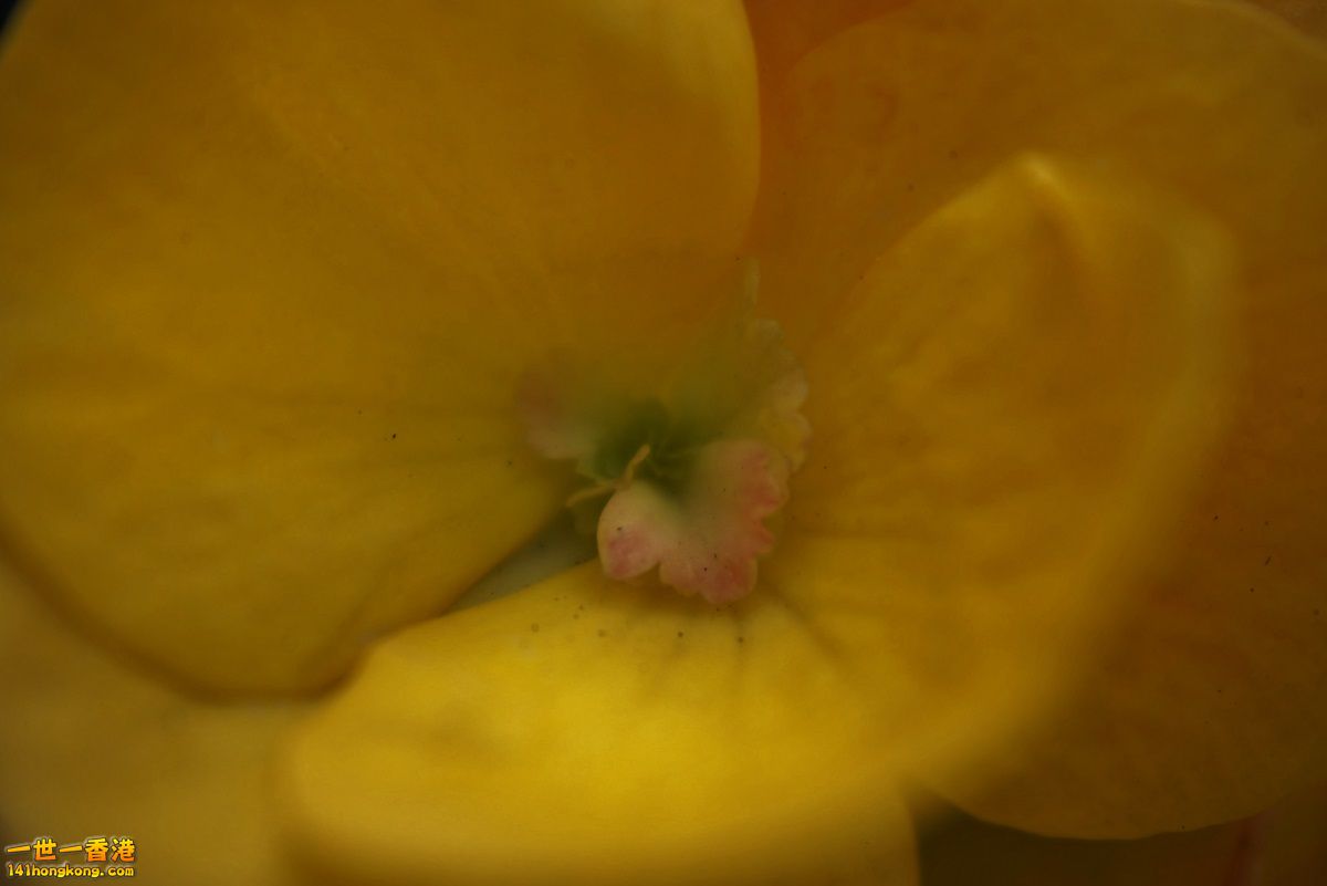 DSC06285.JPG