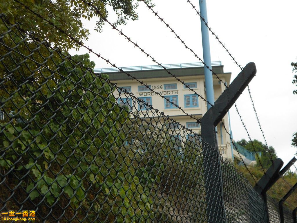 040.jpg