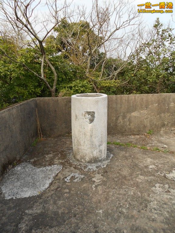 030.jpg