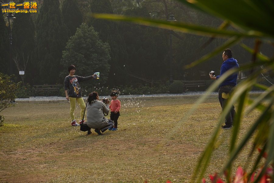 DSC06764.JPG