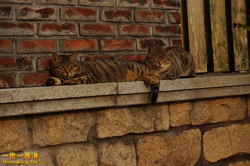 DSC06744.JPG