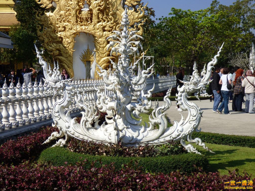 P1060617.jpg