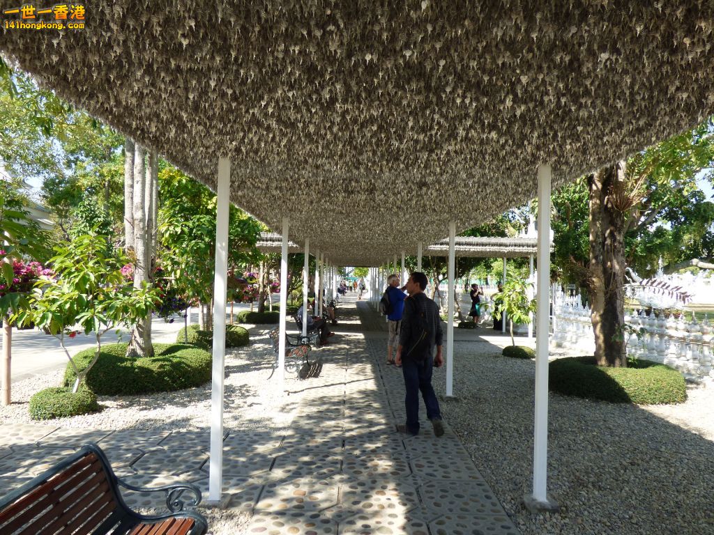 P1060646.jpg