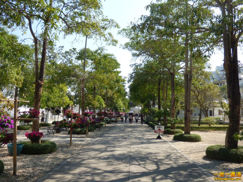 P1060650.jpg