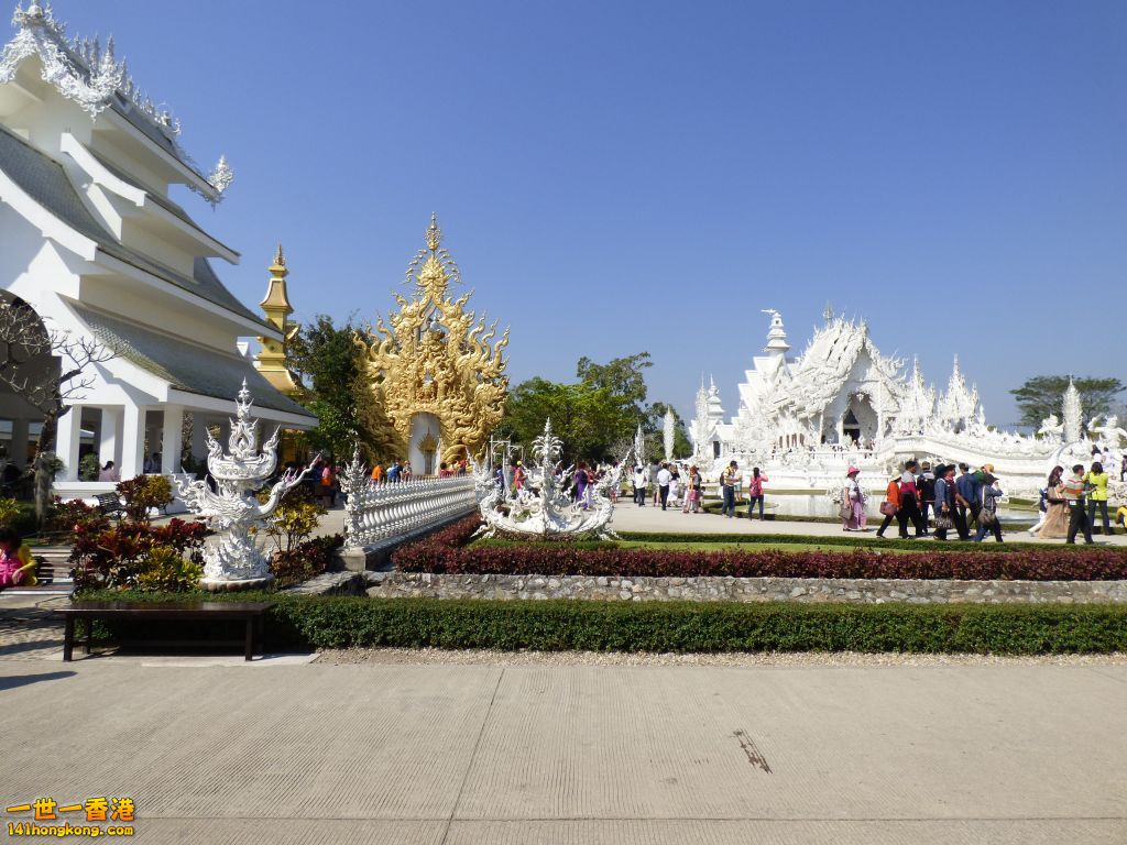 P1060674.jpg