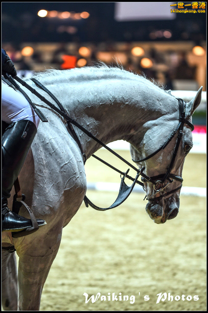 150215 HKMasters - 0111.jpg