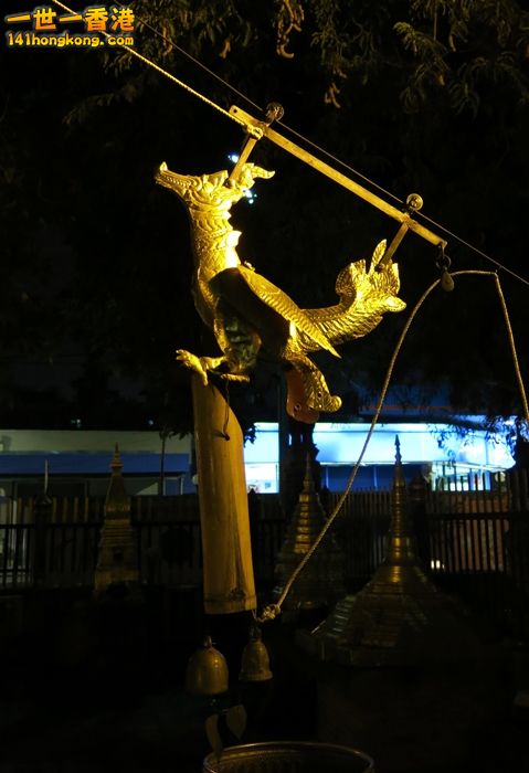 009.JPG