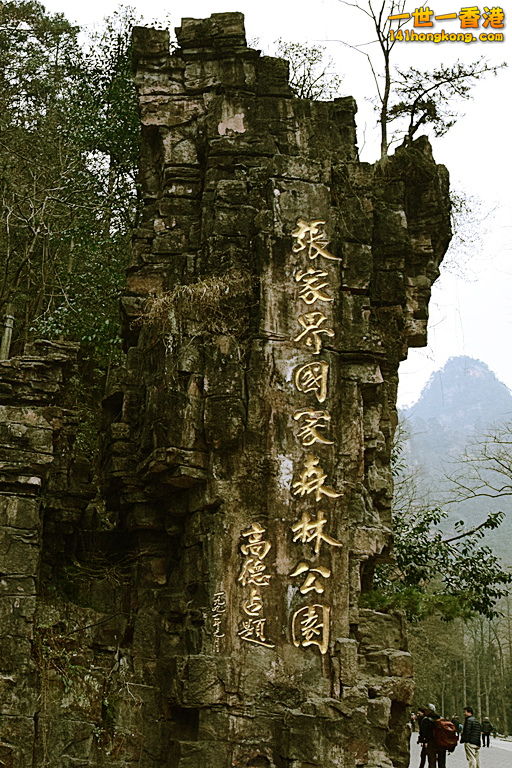 DSC_0075.jpg