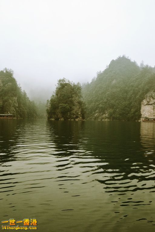 DSC_0253.jpg