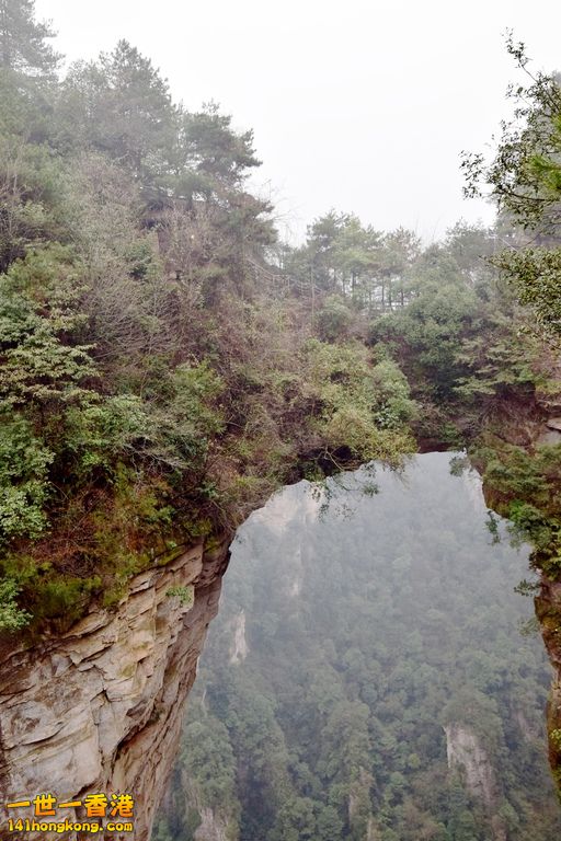 DSC_0422.jpg