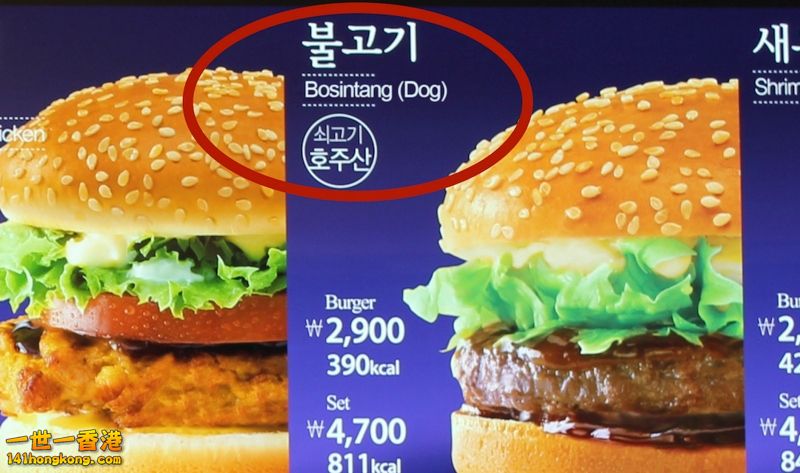 dogmenu1 [800x600].jpg