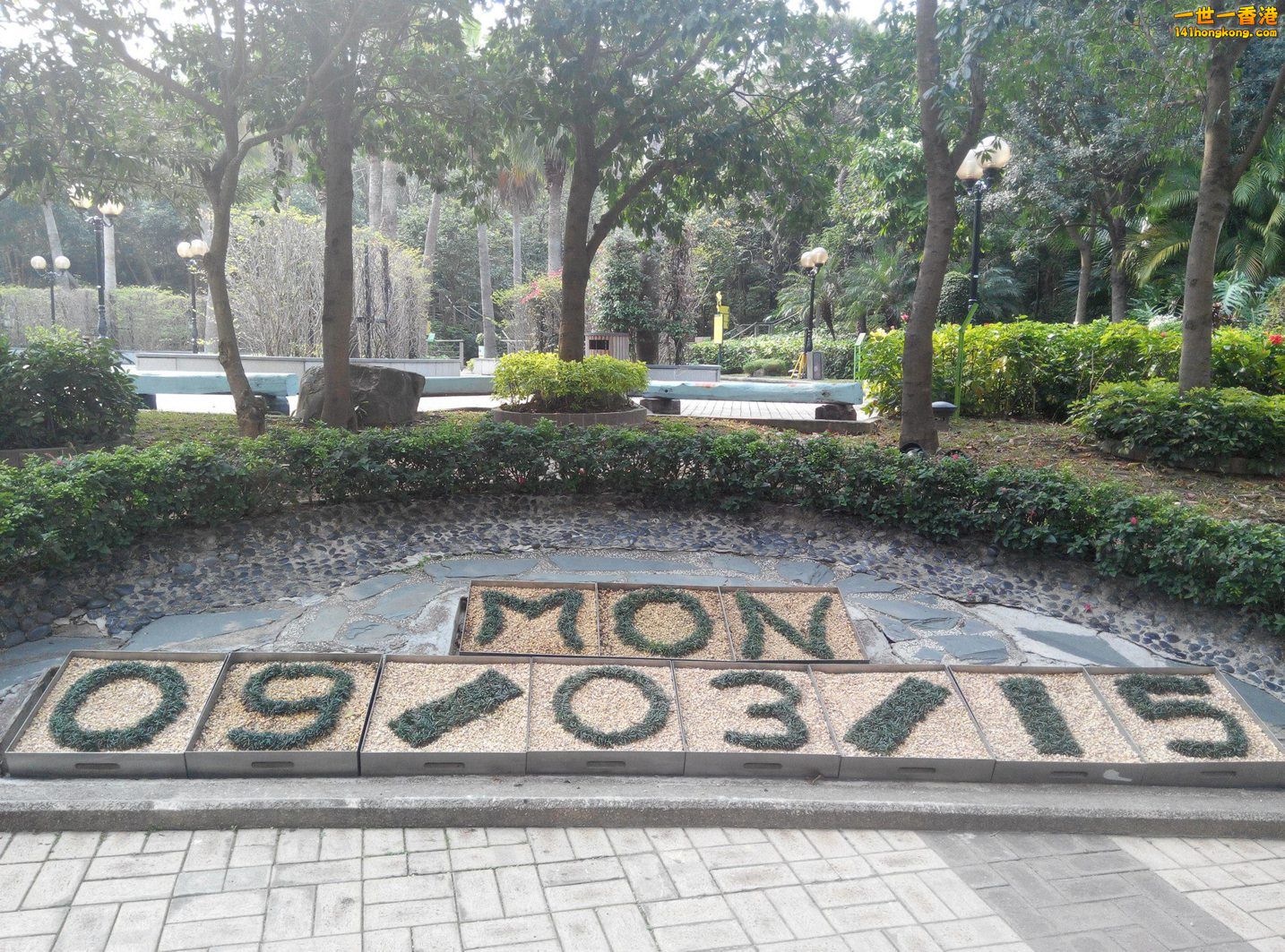 cccc48.jpg