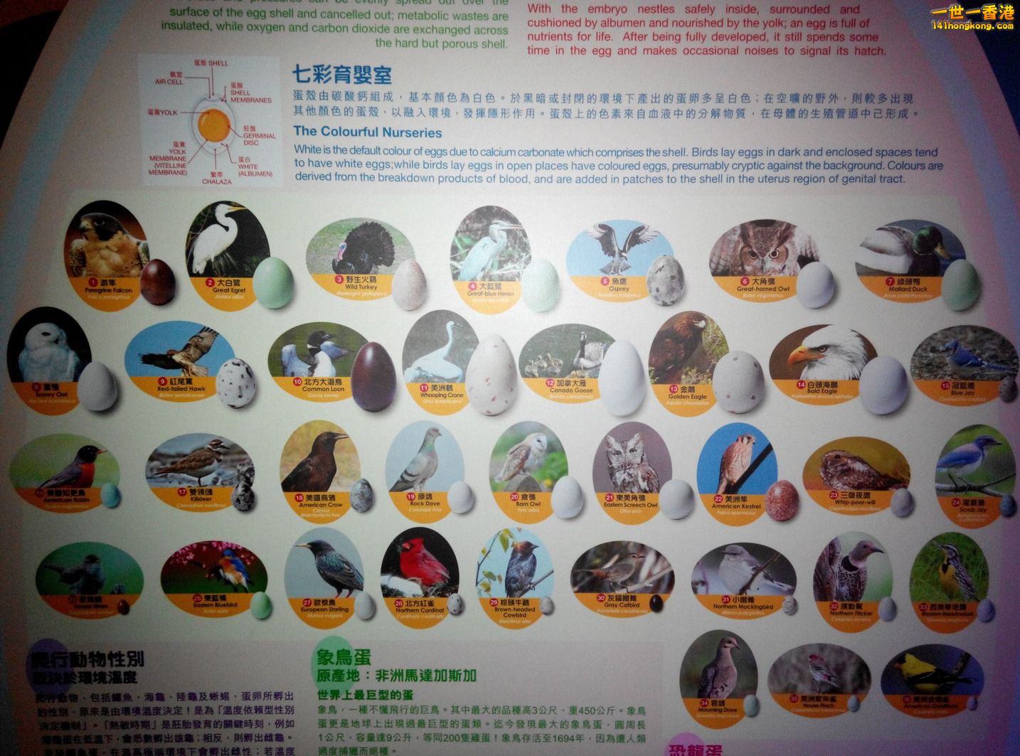 cccc29 - 複製.jpg