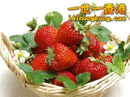 下載 (4).jpg