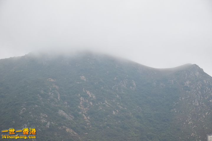 DSC_0080.JPG
