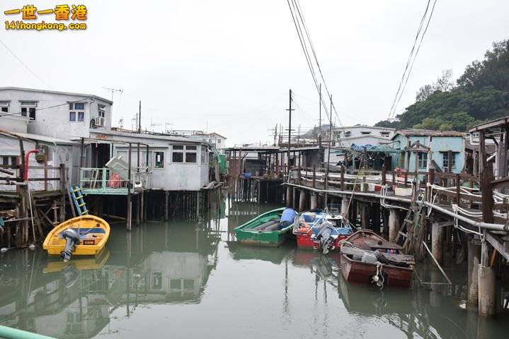 DSC_0090.JPG