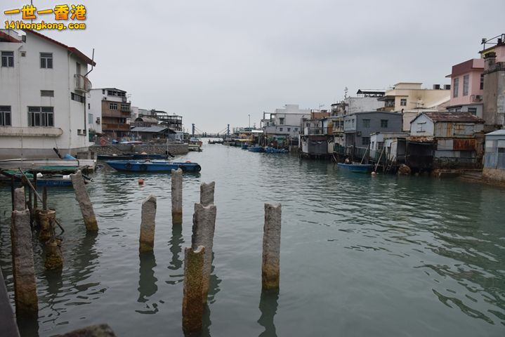 DSC_0100.JPG