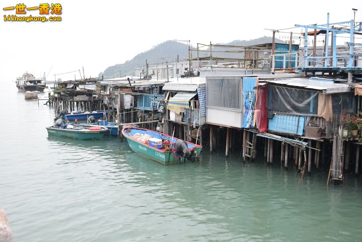 DSC_0111.JPG