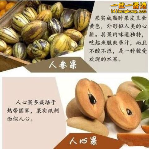 7 - 複製.jpg