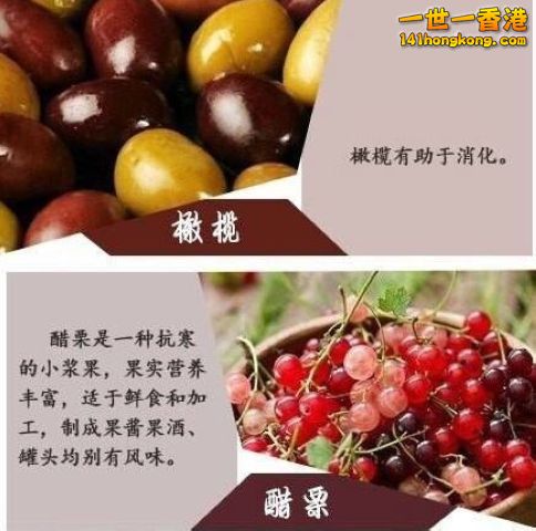 8 - 複製.jpg