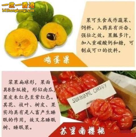 16 - 複製.jpg