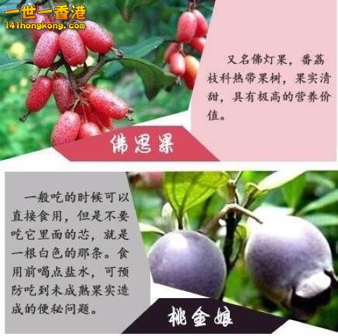 20 - 複製.jpg