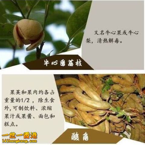 21 - 複製.jpg