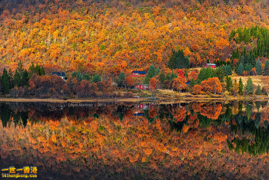 ▼Autumn In Lofoten