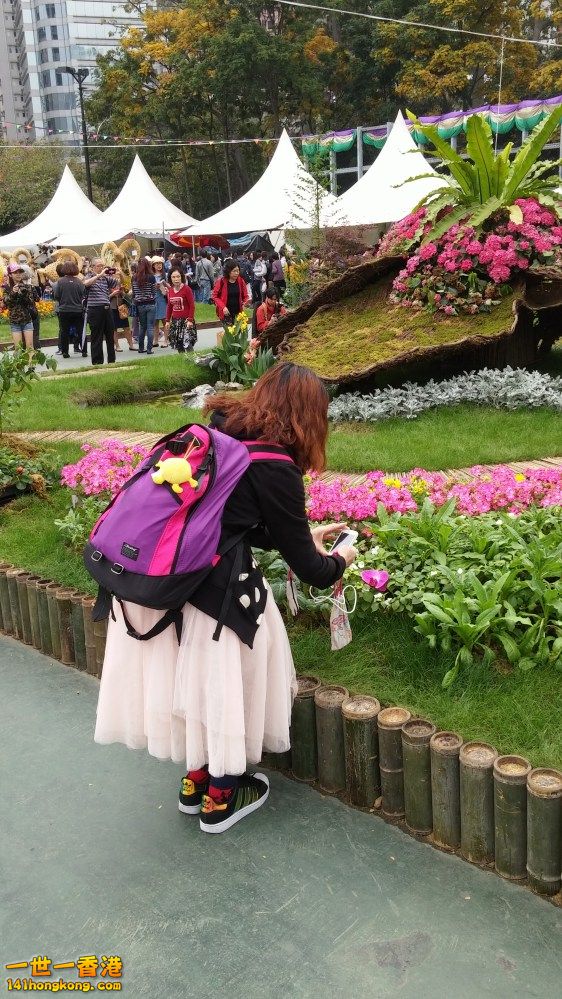 20150325_155410_conew1.jpg