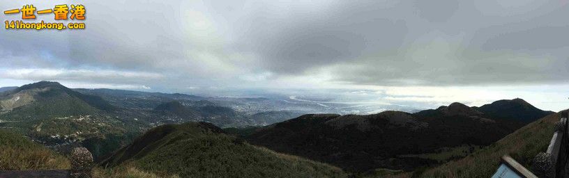 IMG_1457d.jpg