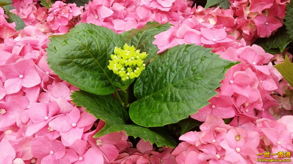 20150325_154413_conew1.jpg