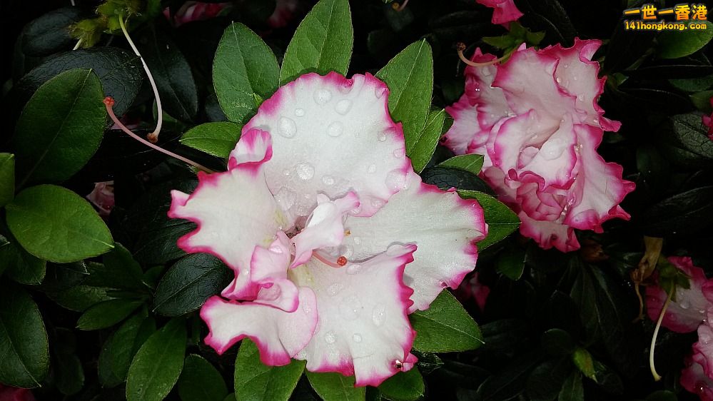 20150325_154447_conew1.jpg