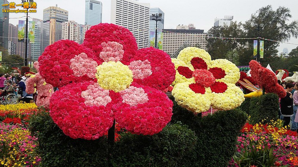 20150325_154540_conew1.jpg