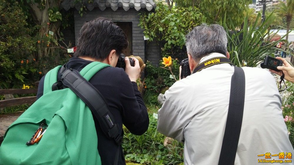 20150325_163429_conew1.jpg