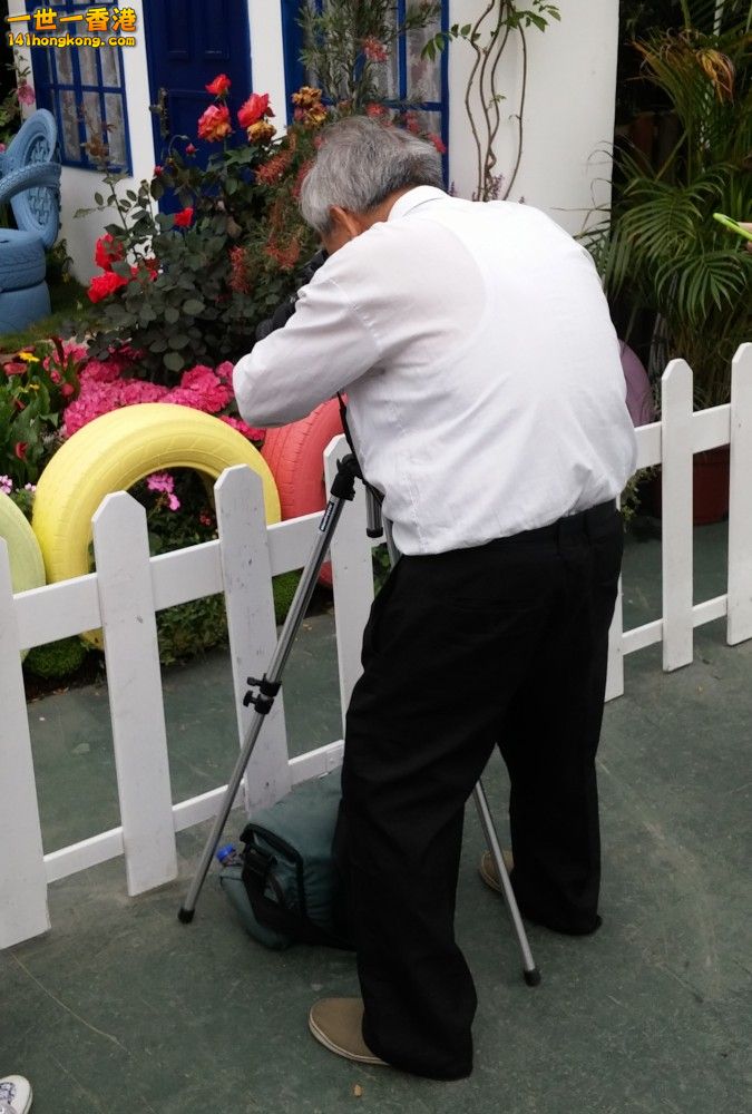20150325_163815_conew1.jpg