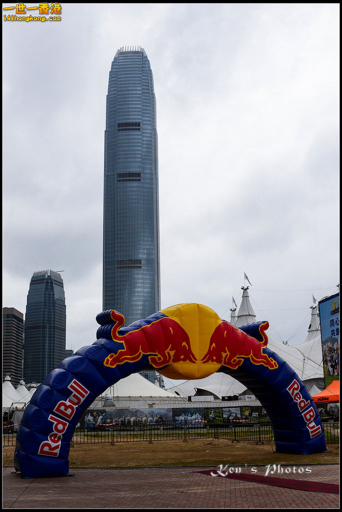 20150403Bull X 1001.jpg