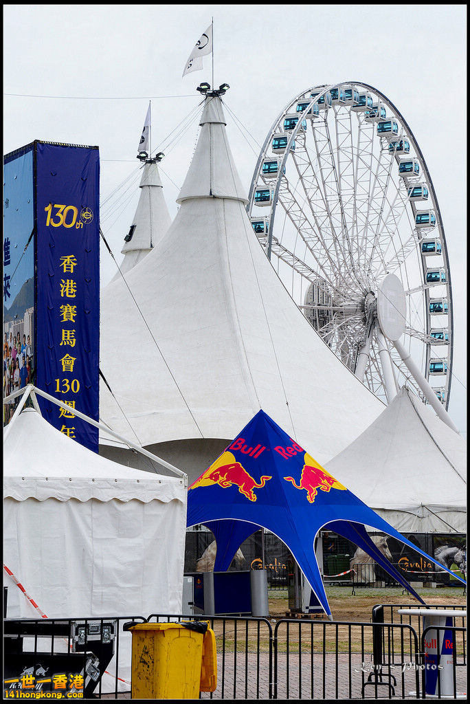 20150403Bull X 1006.jpg
