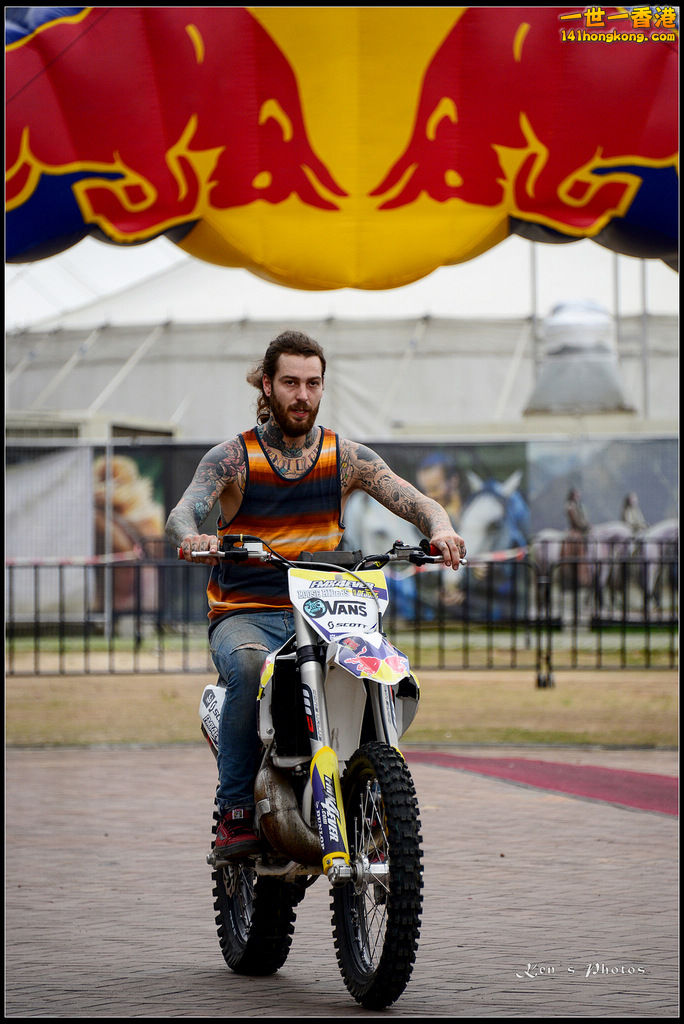 20150403Bull X 1008.jpg