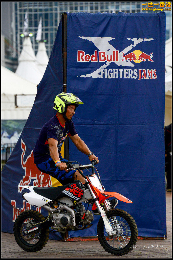 20150403Bull X 1019.jpg