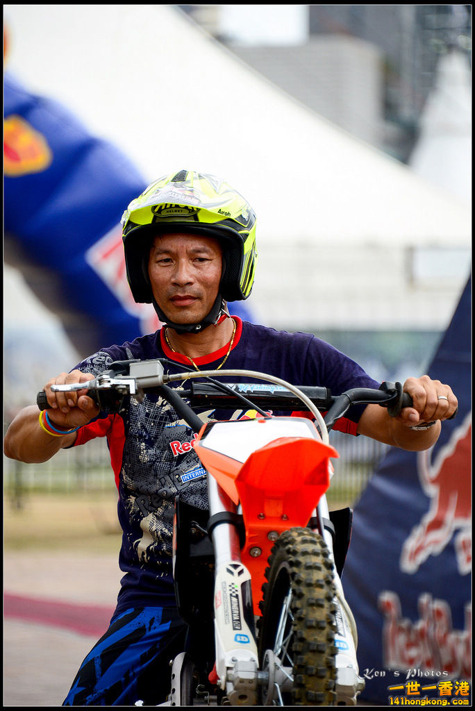 20150403Bull X 1020.jpg