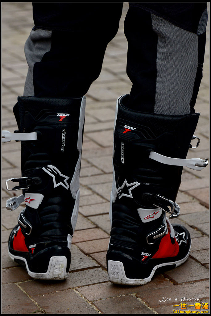 20150403Bull X 1028.jpg
