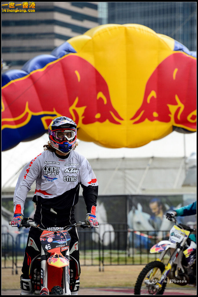 20150403Bull X 1034.jpg