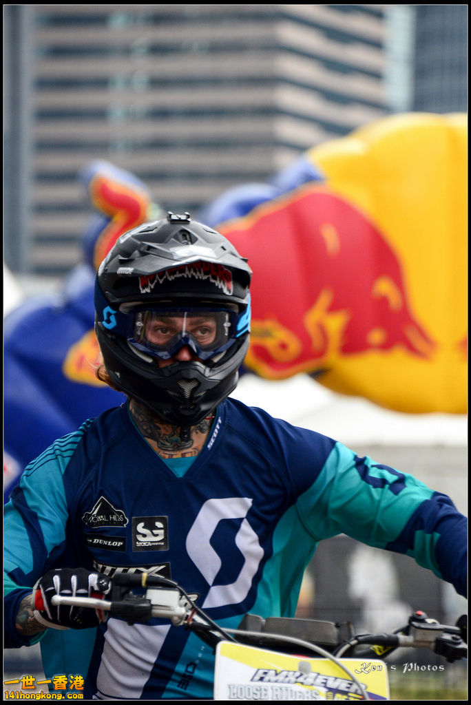 20150403Bull X 1035.jpg