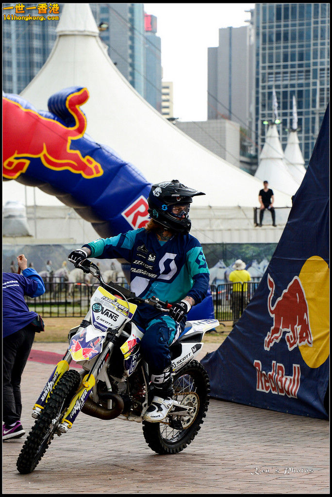 20150403Bull X 1036.jpg