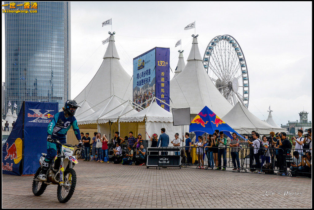 20150403Bull X 1039.jpg