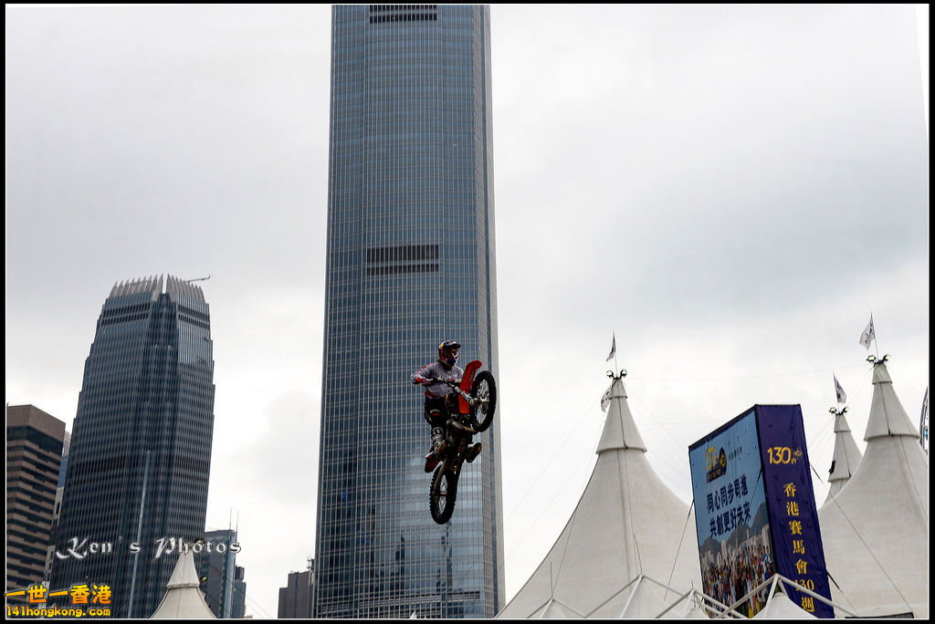 20150403Bull X 1041.jpg