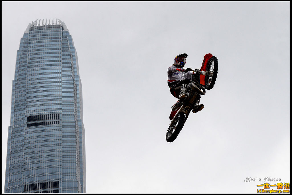 20150403Bull X 1042.jpg