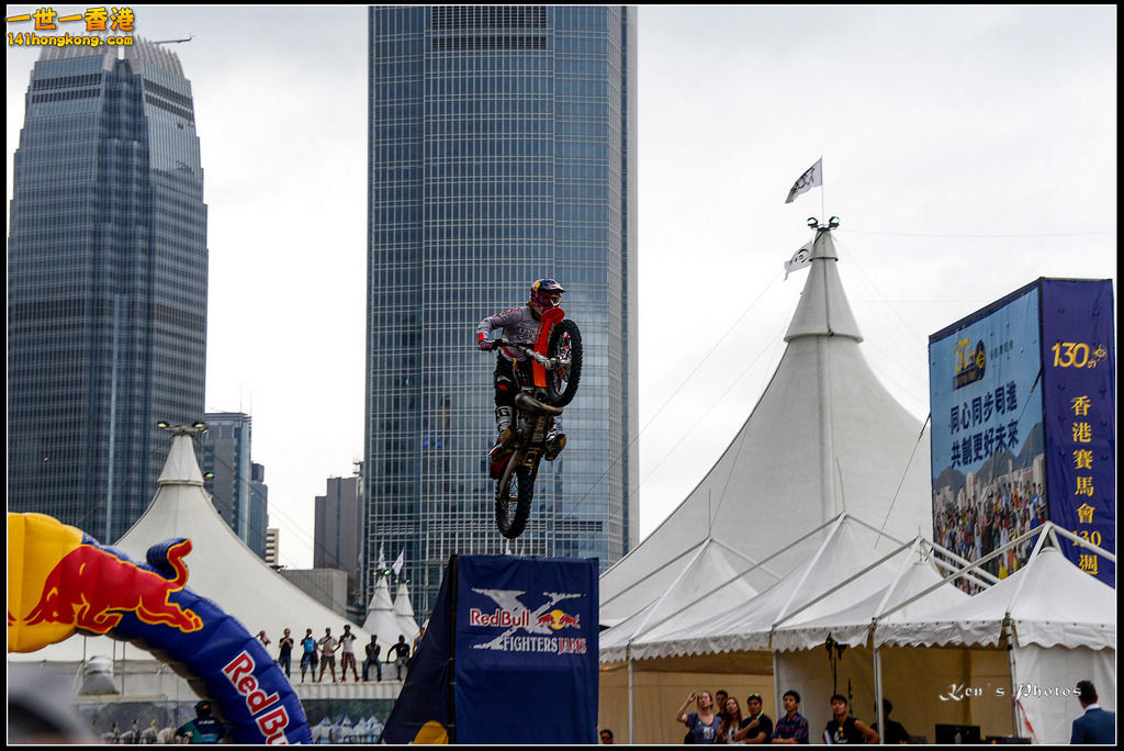 20150403Bull X 1048.jpg