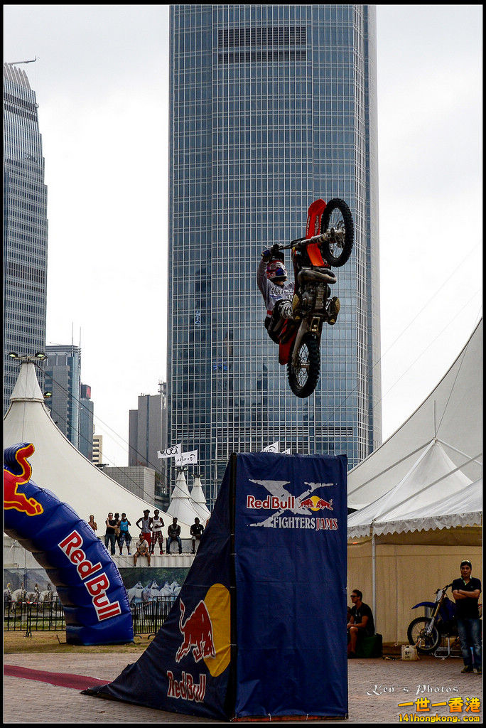 20150403Bull X 1053.jpg